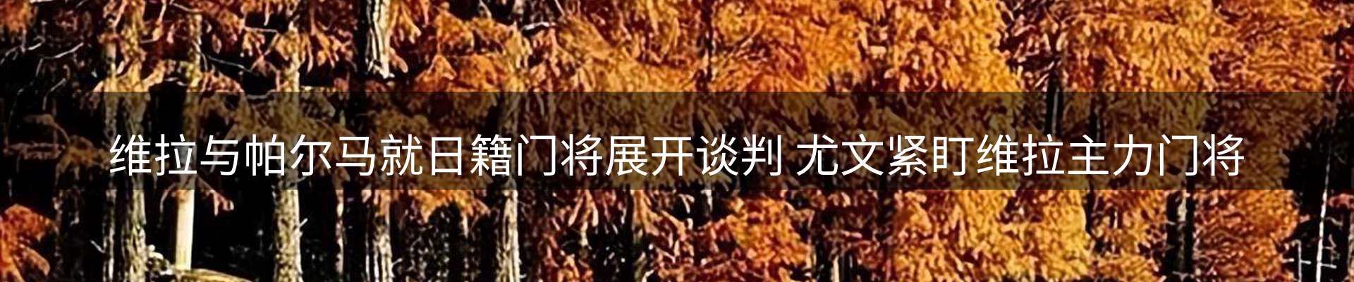 新闻中心